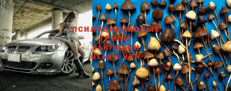 Псилоцибиновые грибы MAGIC MUSHROOMS  Фёдоровский 